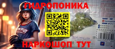 apvp Пушкино