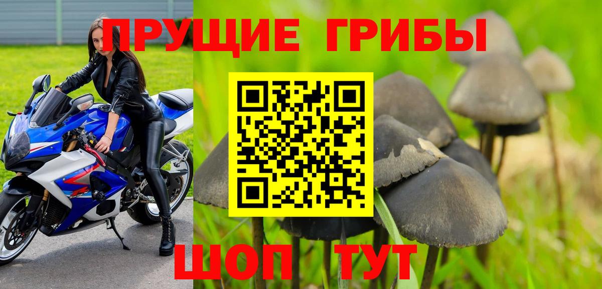 Псилоцибиновые грибы Psilocybine cubensis  Псилоцибиновые грибы мицелий  Вход с VPN  Павловский Посад 